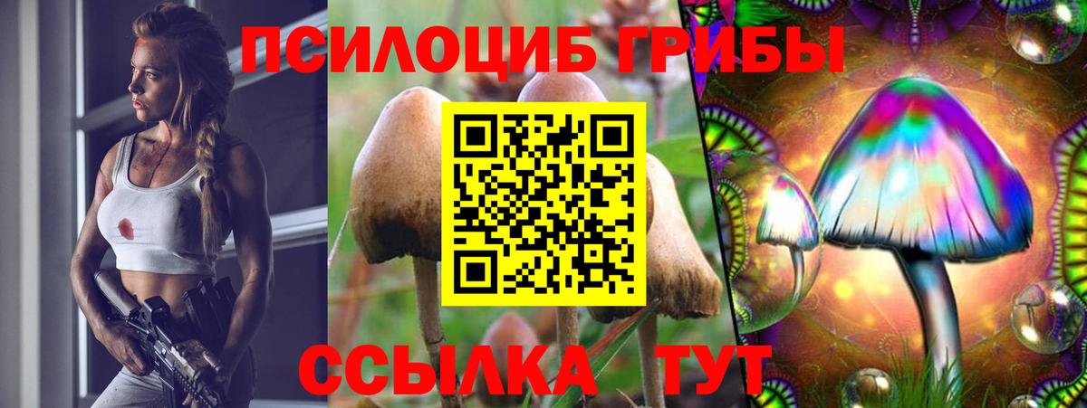 Псилоцибиновые грибы GOLDEN TEACHER  Вход с VPN  Михайловка  Псилоцибиновые грибы мицелий 